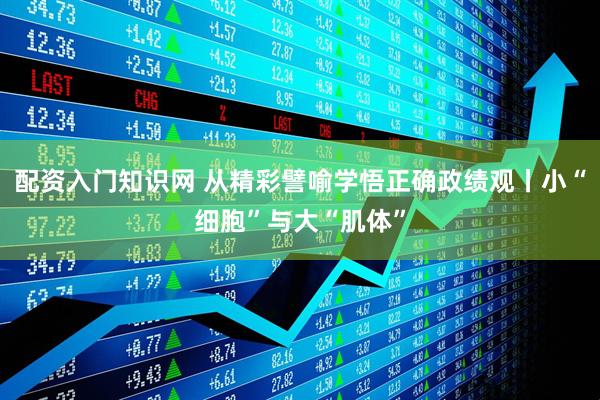 配资入门知识网 从精彩譬喻学悟正确政绩观丨小“细胞”与大“肌体”